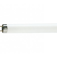 Лампа люминесцентная Philips TL-D 58W/33-640 1SL/25